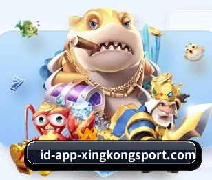 关于我们 - 体育资讯内容服务 | xingkong.com